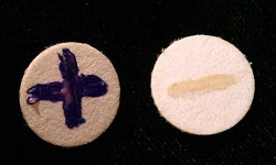 Oxidase test